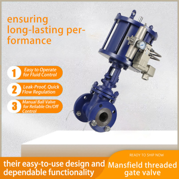 Electrically Controlled Double Pneumatic Gate Valve