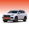 Benzin 5sitzer SUV Tiggo 8