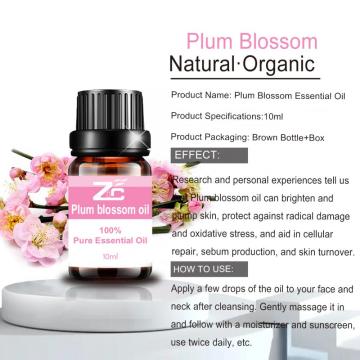 Plum Blossom Oil Aromatherapy Essential Oil for Diffuser
