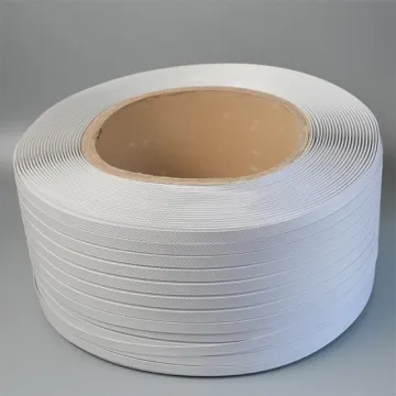 Carton Packing Strap Band