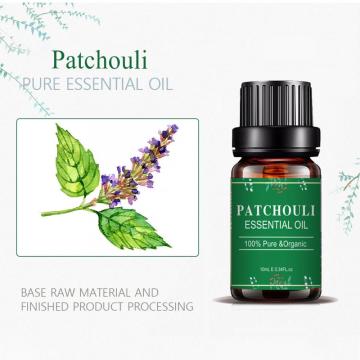 10ml Pure Natural Patchouli Floral Essential Oil OEM