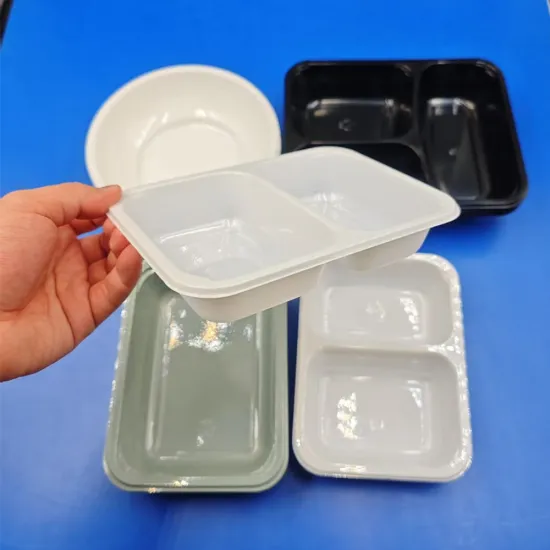 PET PP disposable food containers and trays
