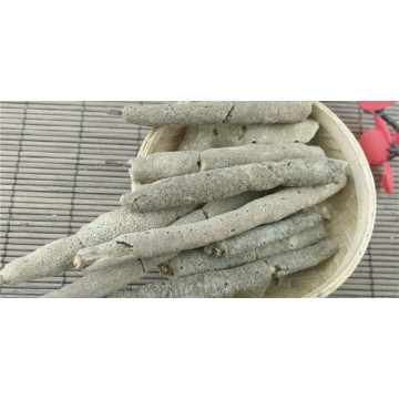 Pure Spongilla Lacustris Extract Sponge Spicule Powder 70%