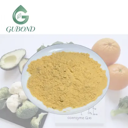 High Purity CoQ10 Powder for Nutritional Supplements