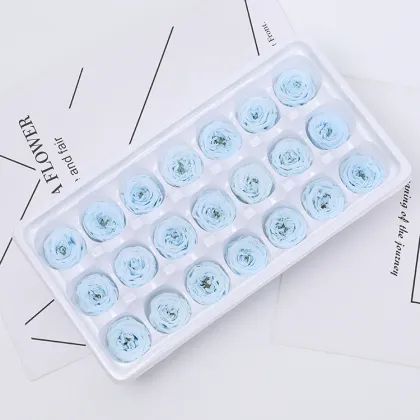 Yuntu Wholesale: Custom Preserved Flowers & Austin Rose Buds