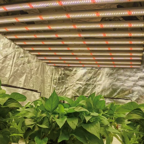 Led Grow Light Full spectrum 660nm 1200W