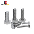 Hexagon Bolts en acier en carbone HDG / Hot-Dip Galvanisation