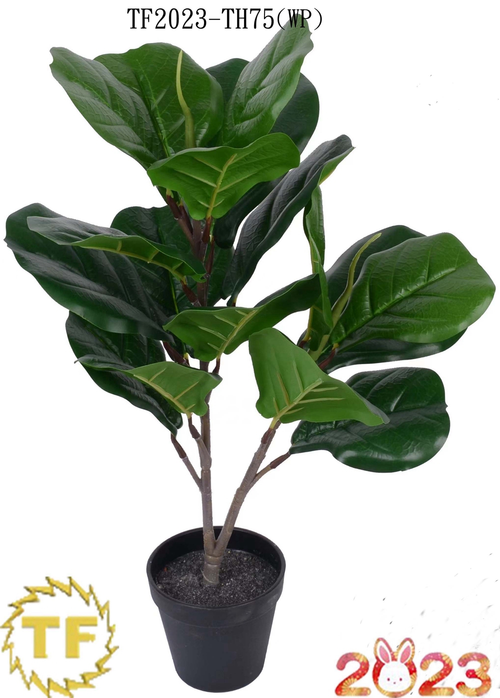 18 "Folh de folha de violino FIG BUSH