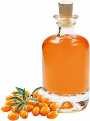 Plant Essential Oil sea buckthorn seed oil