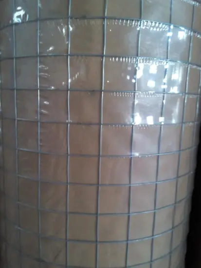 welded galvanised steel chicken wire