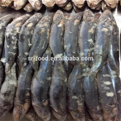 Frozen block anchovy