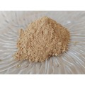 Extrakt z Ginkgo Biloba