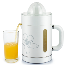 Profesyonel Juicer elektrik