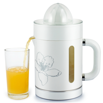 Profesyonel Juicer elektrik