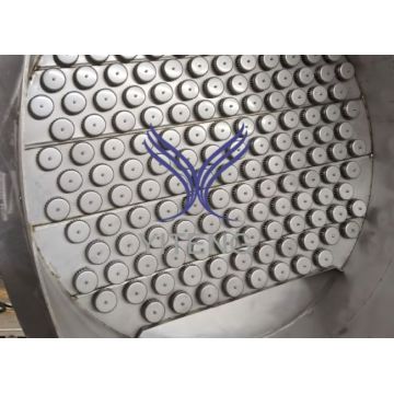 GMP Steam Striping Column