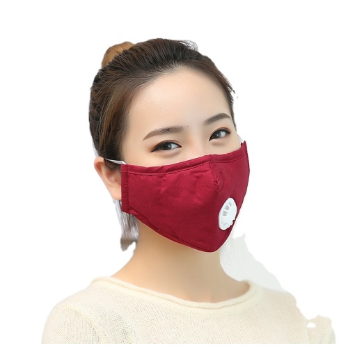 PM2.5 Cotton Mask Anti-dust-smog-virus Face Mask