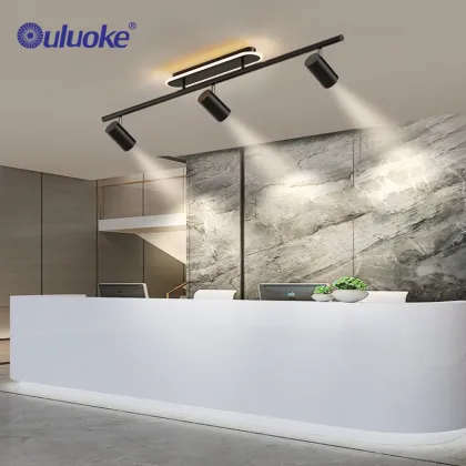 Modern Living Room LED Track Lighting with Spotlights