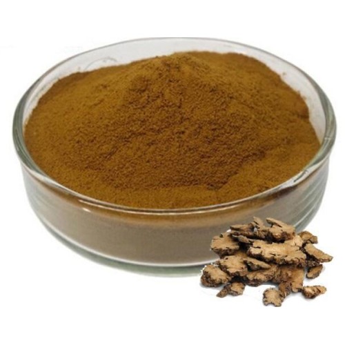 Premium Ligusticum Chuanxiong Extract