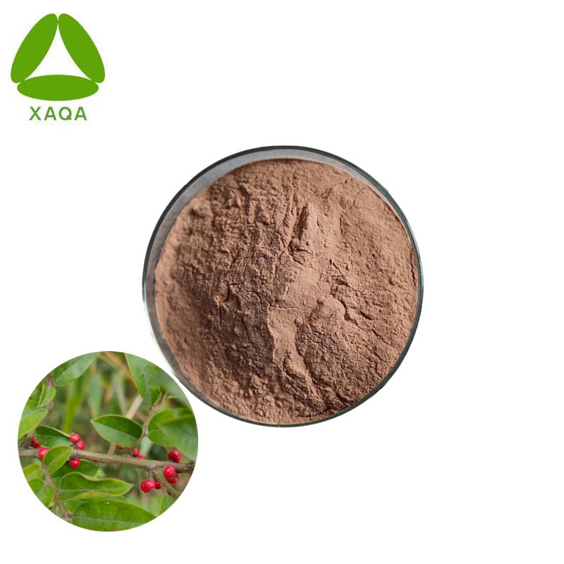 Natural Mao Dong Qing Pubescent Holly Root Extract