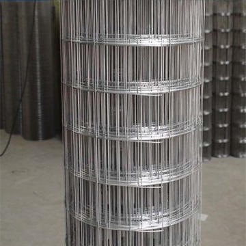 البيع الساخن PVC شبكة السلك المجلفن لفات 3x3