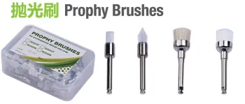 prophy brush and prophy cup