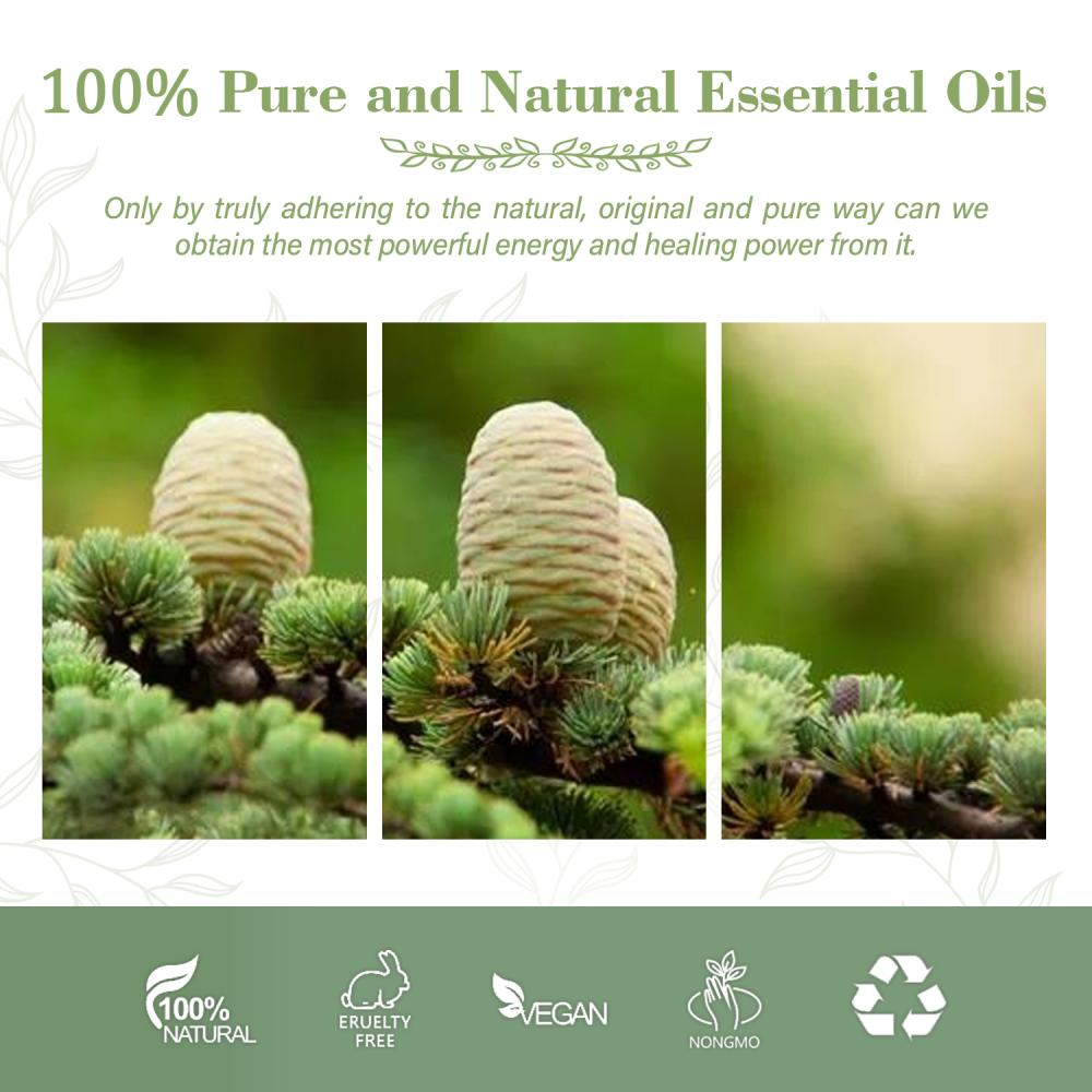 OEM ODM Bulk Sale 100% Natural Pure Cedar Wood Essential Oil