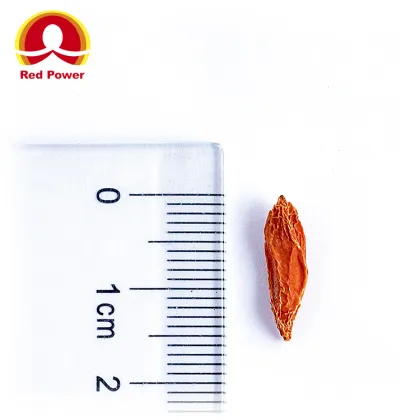 HALAL Red Goji Berry