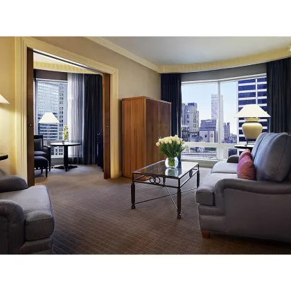 Sofitel Hotels & Resorts: Custom 5-Star Deluxe Furniture for USA Hotel Bedroom Sets