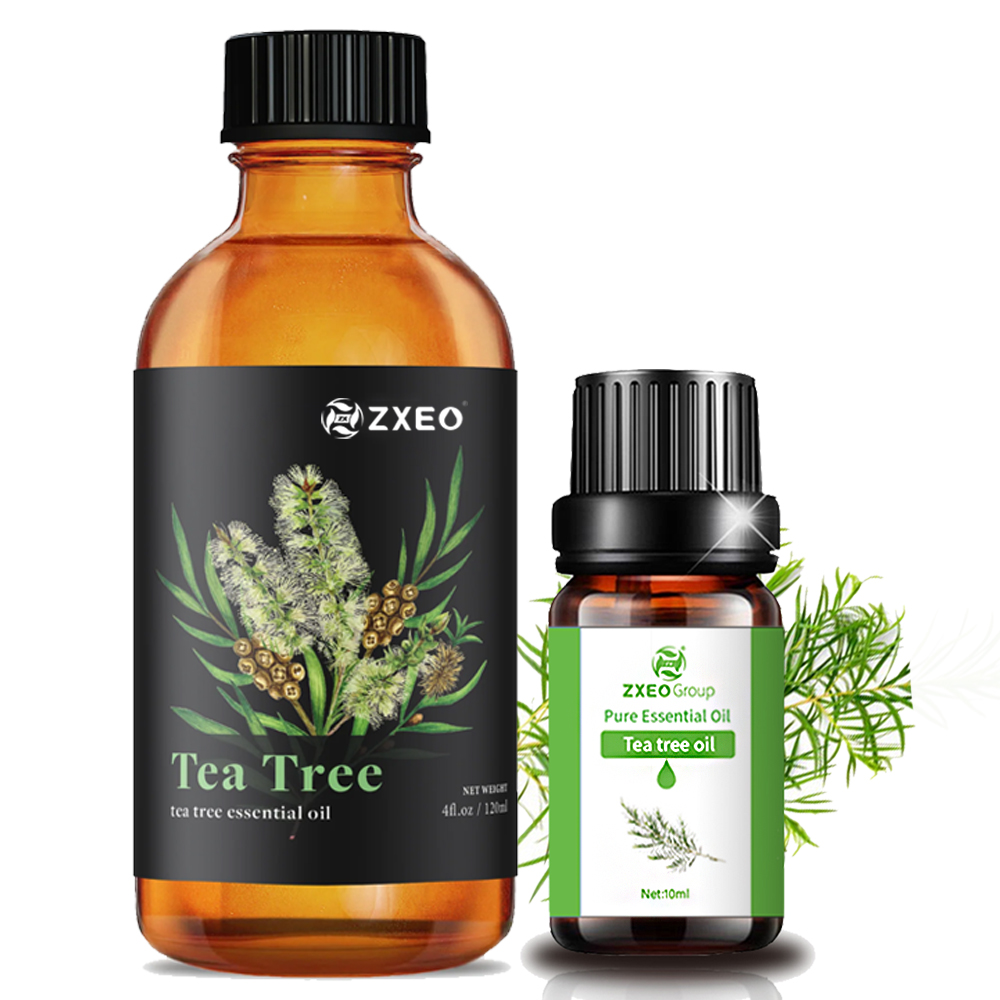 Private Brak Hot Sale Tea Tree Oil Essential Oil