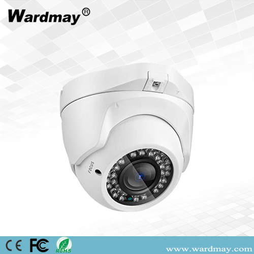 Security 2.0MP CCTV Surveillance IR Dome IP Camera