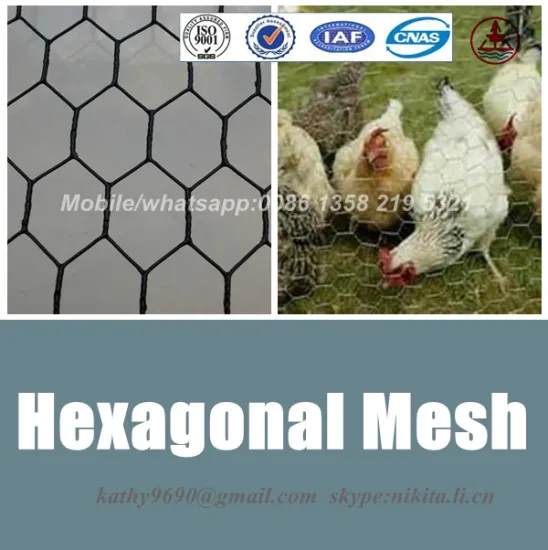 galvanized chicken coop hexagonal wire mesh