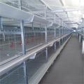 Broiler cage equipment