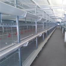 Broiler cage equipment