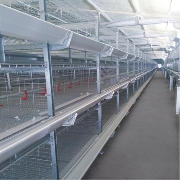 Broiler cage equipment