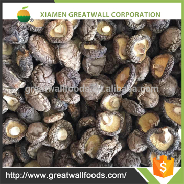 Manufacturer Supply Dried Shiitake/ dried shiitake mushroom in bulk