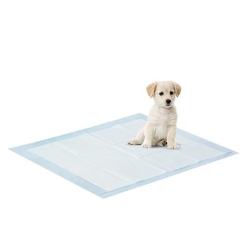 Pet Training Pads Large 50-Count