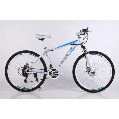 Custom Wheel Set and Carbon Frame for Adult MountainPeak Stricker/Road Bike