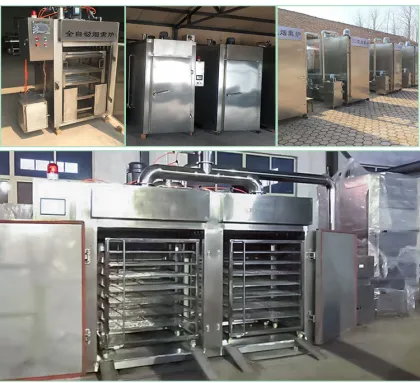 Fish and Meat Processing Equipment: Smoking Machines, Ovens, and Drying Tools