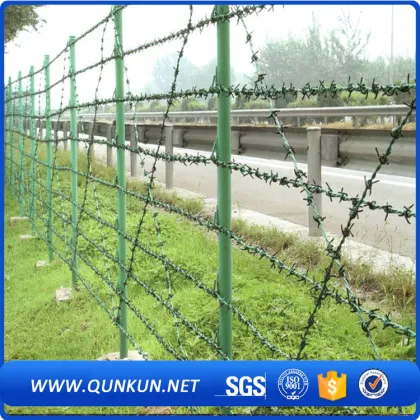 Galvanize barbed wire fence