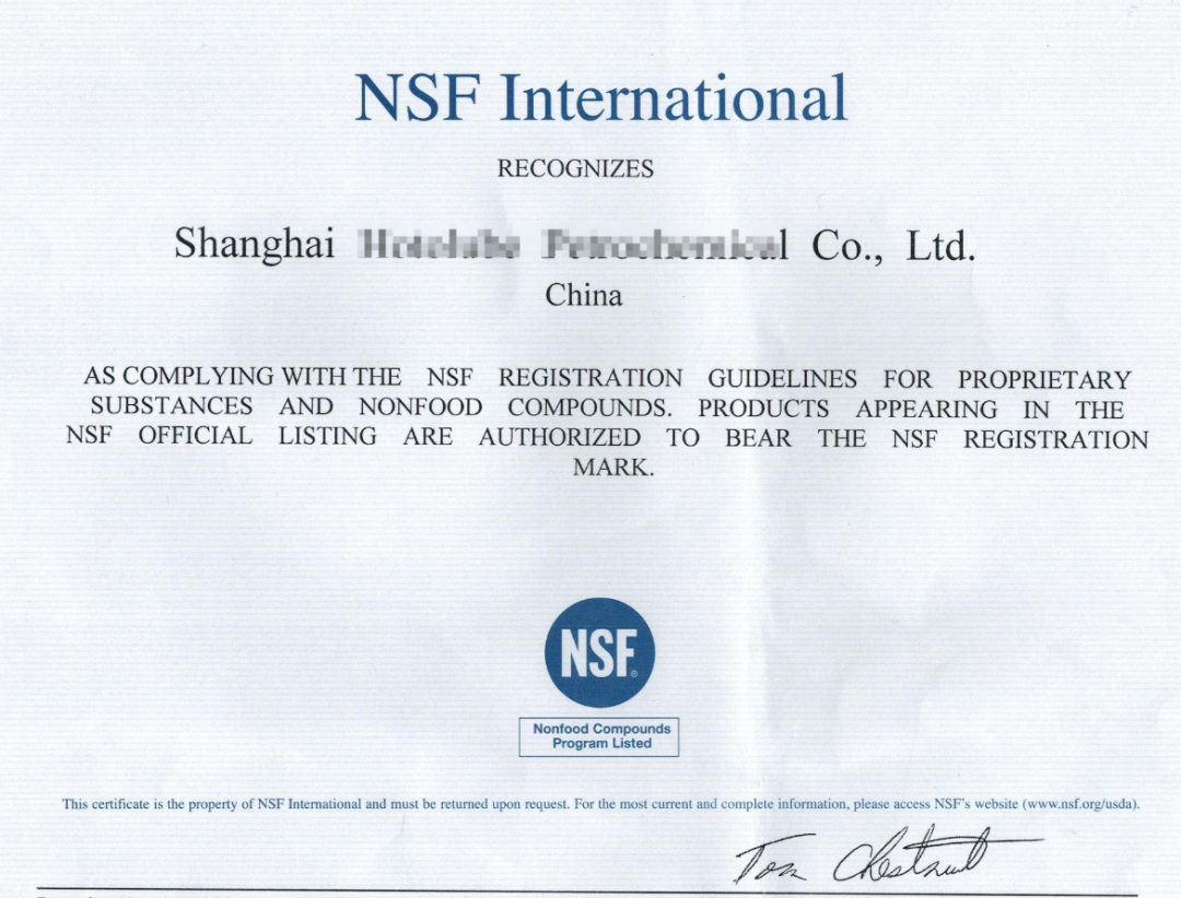 NSF REPORT
