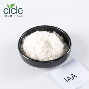 High-Purity Indole Acetic Acid for Plant Growth Regulation