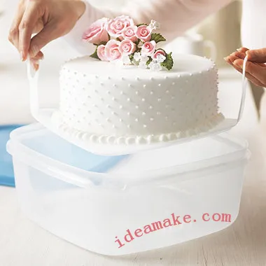 Cake Lifter cake storage box food storage box and cake saver cake box food fresh box
