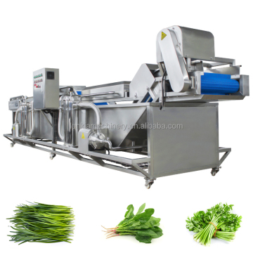 Lonkia Veg Automatic and Fruit Washing Machine สำหรับผักชีผักชีฝรั่งและอื่น ๆ
