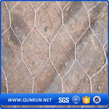 Hexagonal wire mesh direct factory(poultry netting)