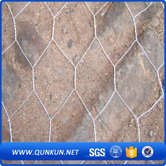Hexagonal wire mesh direct factory(poultry netting)