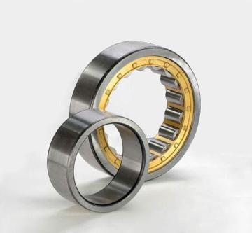 Cylindrical roller bearing N1044EM