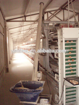 H-type Multi-tier Chicken Coop Equipment for Sale