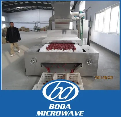 continuous microwave herbs dryer