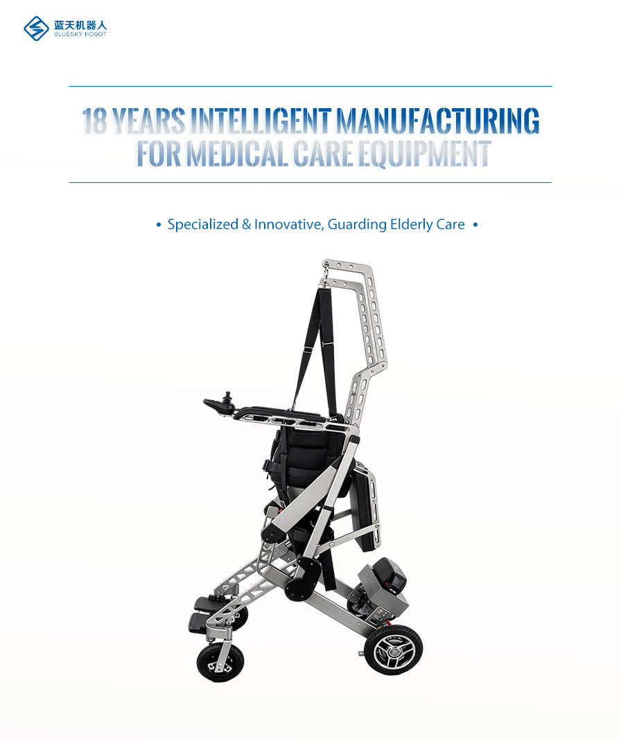 Adjustable Mobility Chair