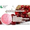 Acerola cherry fruit powder
